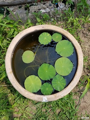 夏天到了