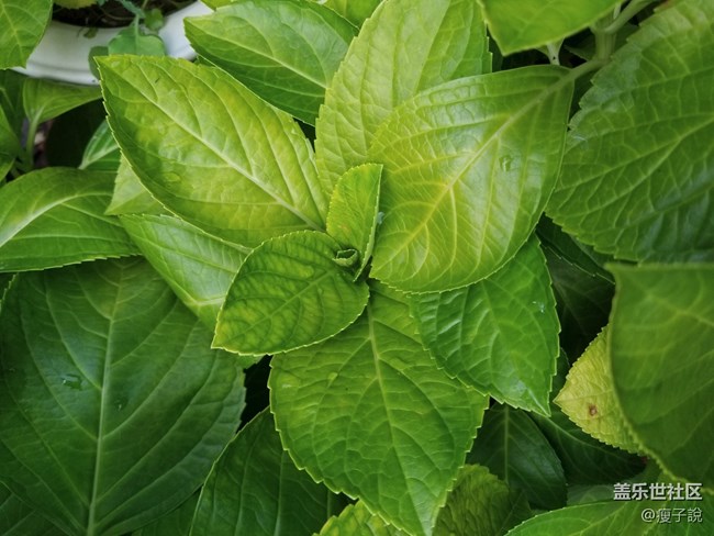 三星S8的幾條問(wèn)答，看完就知道到底適不適合你