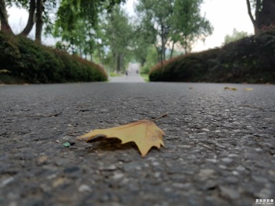 今天早點(diǎn)走，多繞一段湖，看到的美景也多點(diǎn)！