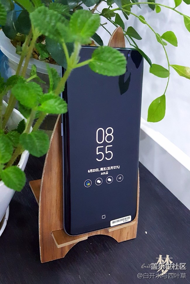 S8圖賞