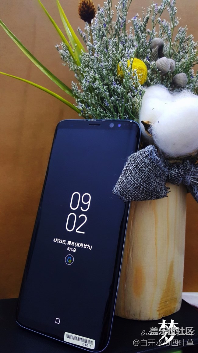 S8圖賞