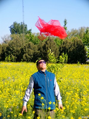 【2周年 風(fēng)】+路徑身邊的風(fēng)