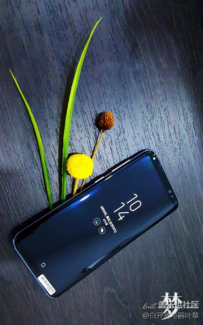 S8圖賞