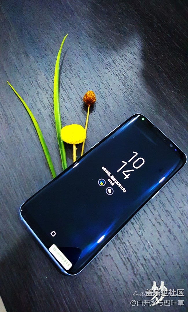 S8圖賞