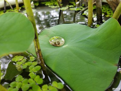 G9350如水拍了張(倒數(shù)第二張)，哈哈！