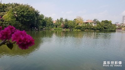 深圳華僑城波托菲諾純水岸燕棲湖