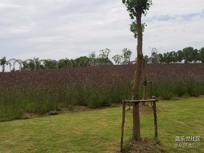 S8+后置相機問題