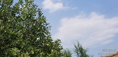 【蓋樂世社區(qū)2周年慶 】+ 韌 +義井+仨吃貨