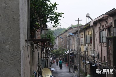 非手機拍攝，僅供觀賞