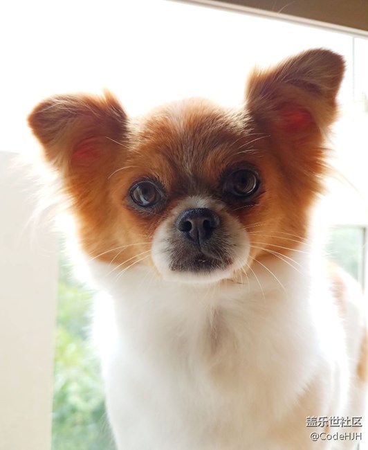 QF3相機專業(yè)模式拍照