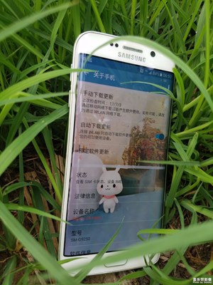 首款曲屏服役兩周年零兩個月