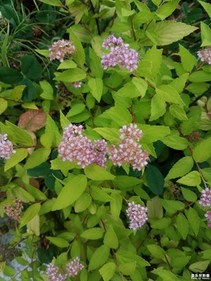 平時隨手拍的， 拍的不太好 學(xué)習(xí)中