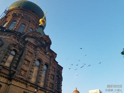 【蓋樂世社區(qū)2周年-靜  】+ 異國風(fēng)情