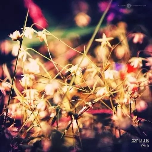 人字有兩筆:一筆前半生，一筆后半生！