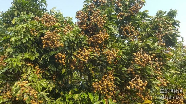 問下有那些S8的APP可以直接在NOTE5上安裝？