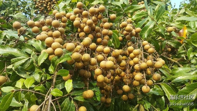 問(wèn)下有那些S8的APP可以直接在NOTE5上安裝？