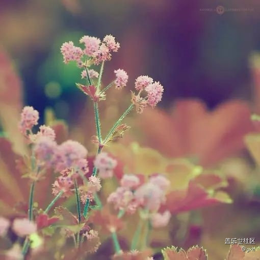 幽默短文   口誤！