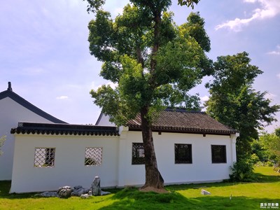 云淡風(fēng)輕的日子 +天高云淡