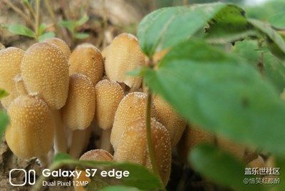 學(xué)習(xí)微距