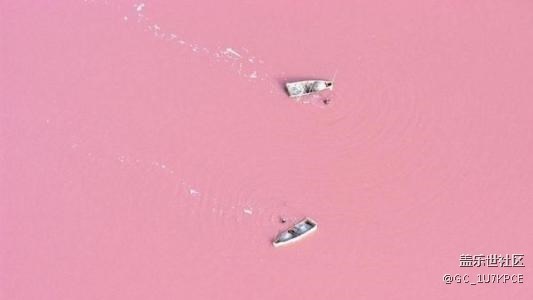 女生的最愛(ài) Pink粉色