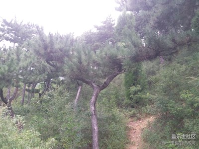 天涼好個(gè)秋