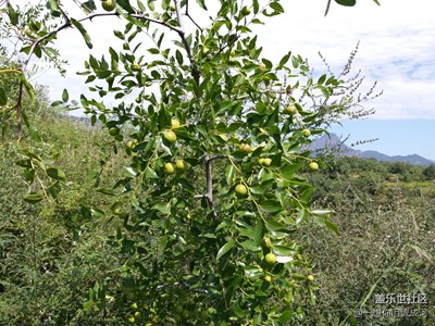 有知道的嗎？