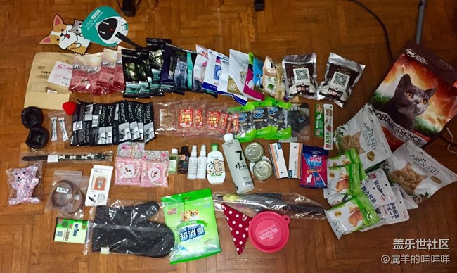 亞寵展，看了就想開(kāi)一個(gè)寵物店!