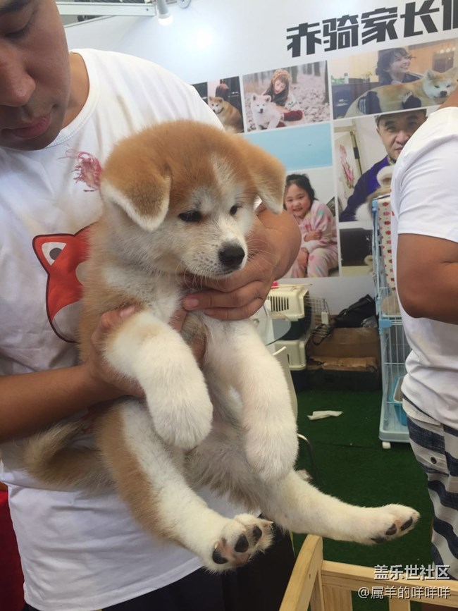 亞寵展，看了就想開(kāi)一個(gè)寵物店!