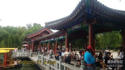 《致愛七夕》+大明湖畔