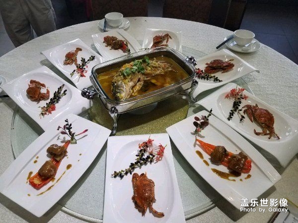 單身汪的大廚師