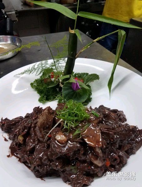 單身汪的大廚師