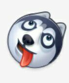 不怎么用社區(qū)，但用了后有建議還是要提一下的～