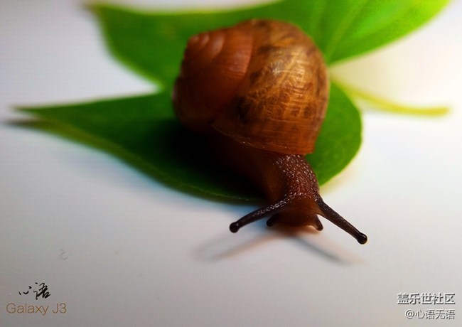 圖說三星Ga;axy J3