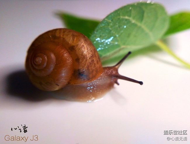 圖說三星Ga;axy J3