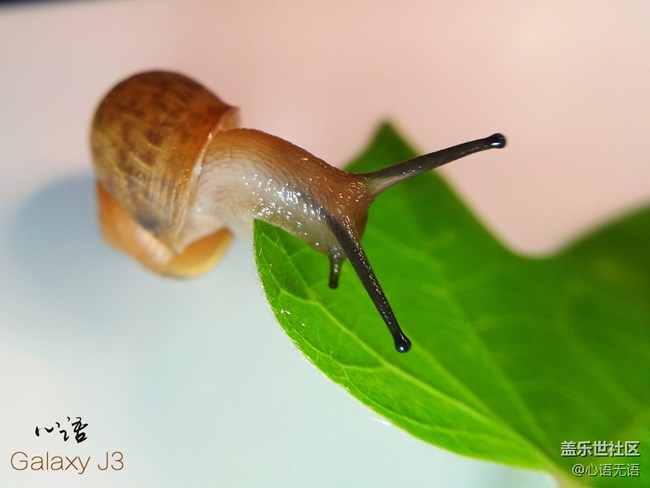 圖說三星Ga;axy J3