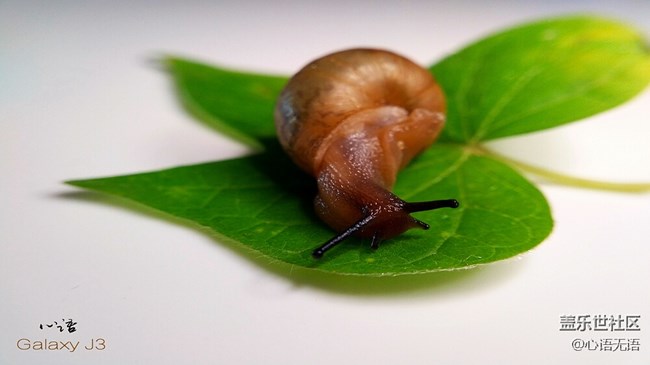 圖說三星Ga;axy J3