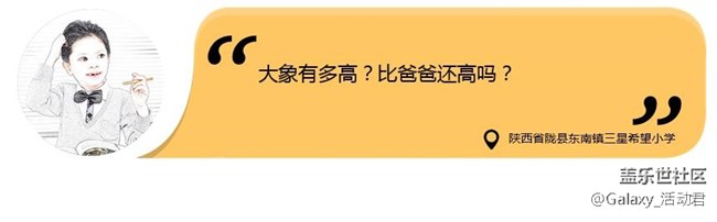 我想看看大象