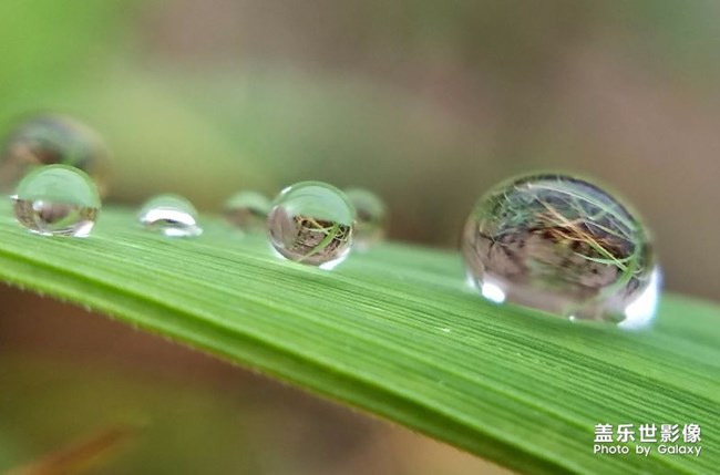 每周精帖匯【第70期：C8發(fā)布會嘻哈派對嗨爆全場】