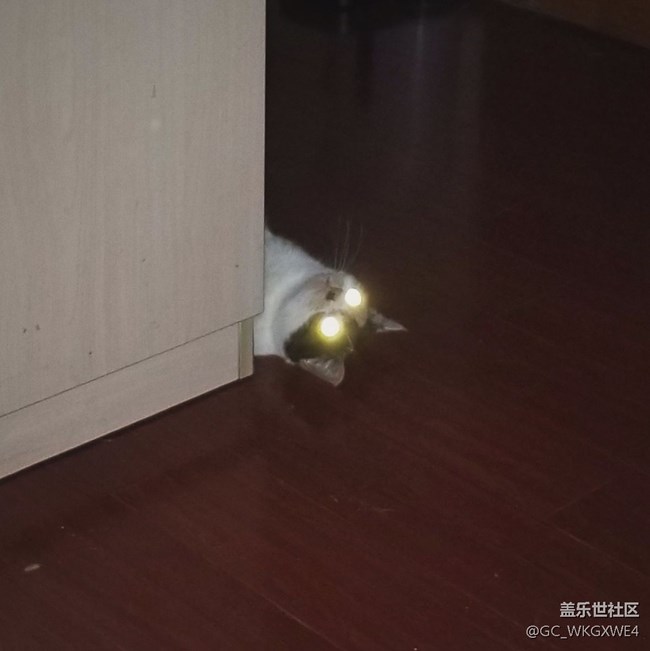 關于你們大家都想吃的奧利奧