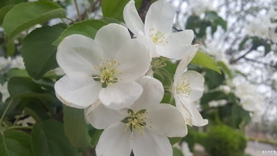 感覺(jué)沒(méi)拍好，請(qǐng)大家指點(diǎn)