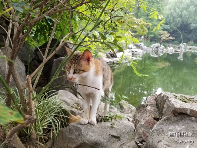前幾天在公園里拍的照片