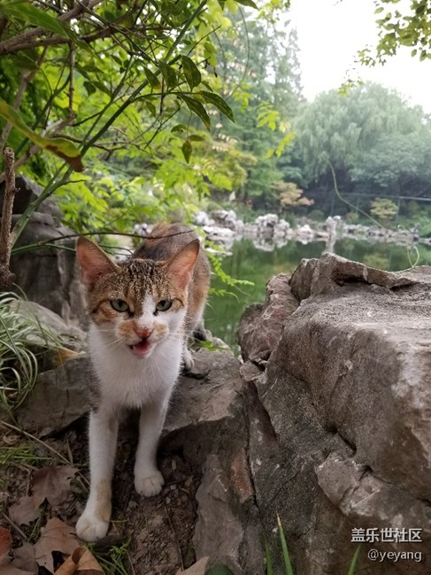 前幾天在公園里拍的照片