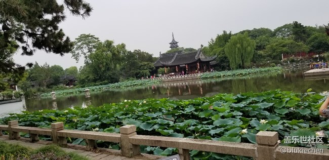 大觀園游走主題