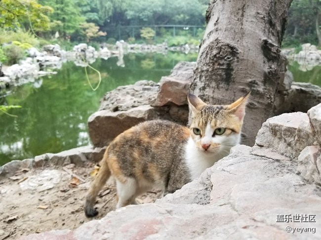 前幾天在公園里拍的照片