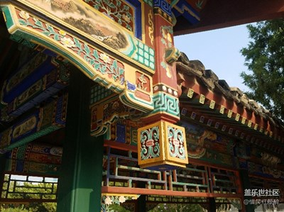 留住最美的畫面