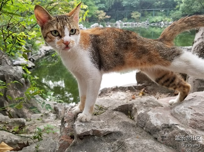 前幾天在公園里拍的照片