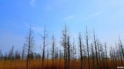 《色彩》+大自然的色彩