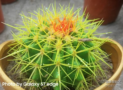 立體畫美不勝收