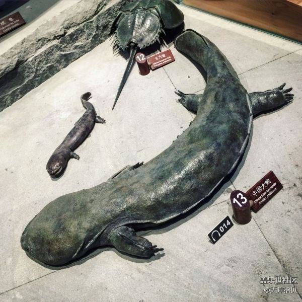 于公子帶你走進(jìn)上海自然博物館 于公子帶你走進(jìn)上海自然博物館