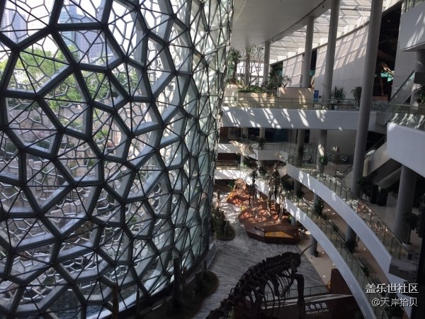 于公子帶你走進(jìn)上海自然博物館 于公子帶你走進(jìn)上海自然博物館